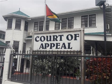 list the courts for litigation in guyana